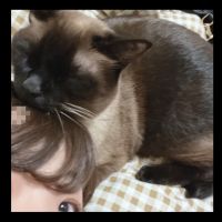 みさぴっぴさん