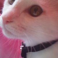 れお♂ 会員画像