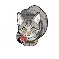 雪舞姫 会員画像