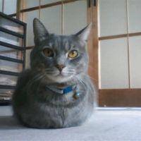 会員画像