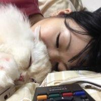 なべねこ 会員画像