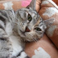 にゃぼさん 会員画像