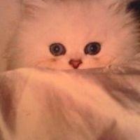 milky_love 会員画像