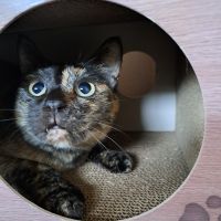 ふくふくふく 会員画像