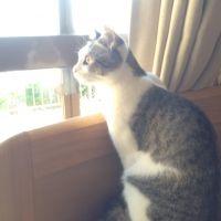 さとすもも 会員画像