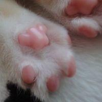会員画像
