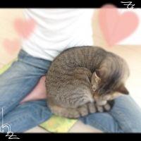 ぽんさち 会員画像