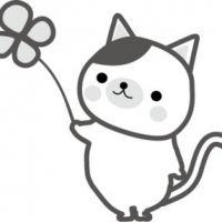 JYUJYUCAT 会員画像