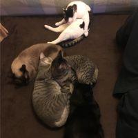 ゆき*\(^o^)/*さん