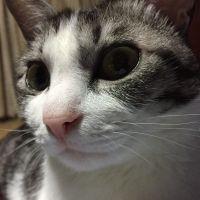 満足さん 会員画像