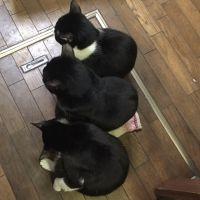 ゆーまん69 会員画像