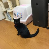 ゆず0124 会員画像