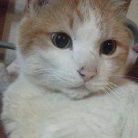taku8.2さん