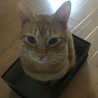ぺるみい 会員画像