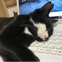 やまわさん
