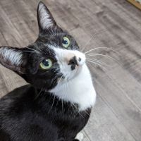 fuuco 会員画像