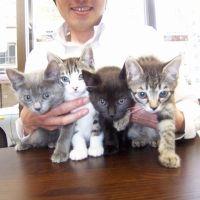 ぶどうのおじさん 会員画像