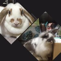 ゎみ 会員画像