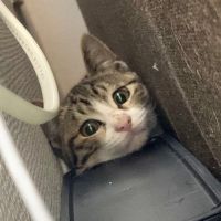 まりさわ 会員画像