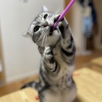 るいたん 会員画像