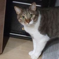 Sクロちゃん 会員画像