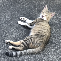 会員画像