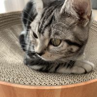 なひぃさん