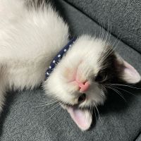 おけび! 会員画像