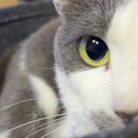 まるの友だちさん