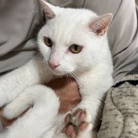 りゅうい 会員画像