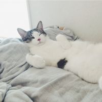 くにもと 会員画像