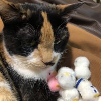 ねちお 会員画像