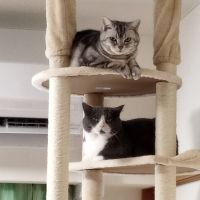 祥子と房太さん