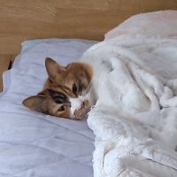 りょうちこさん