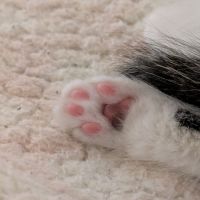 ゆさちやまさん