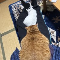 きよじろさん