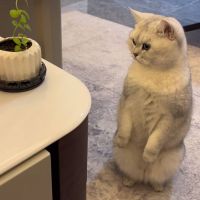エイミーと暮らすさん