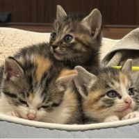 tama5さん