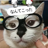 ゆっぴょこ