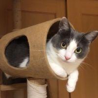 おにゆき 会員画像