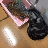会員画像