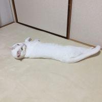 ミルクとまさくん 会員画像