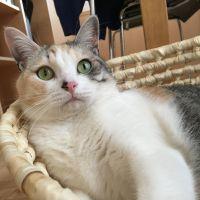 会員画像