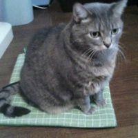 ひかり 会員画像