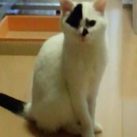 JKMIUさん