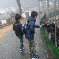 ひびゆう 会員画像