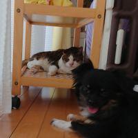 会員画像