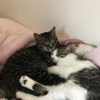 会員画像