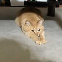 会員画像