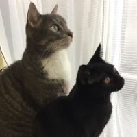 くうみゆママ 会員画像